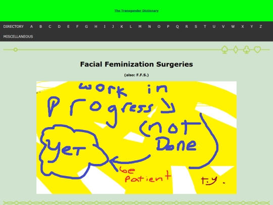 thetransgenderdictionary/f/ffs screenshot