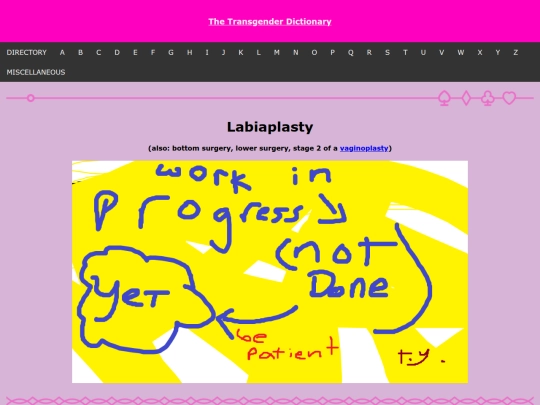 thetransgenderdictionary/l/labiaplasty screenshot