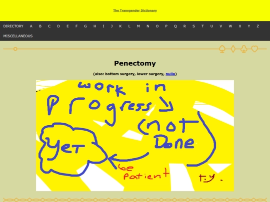 thetransgenderdictionary/p/penectomy screenshot
