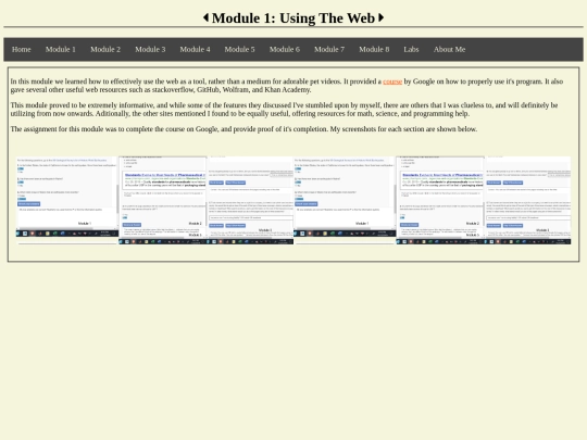 module1 screenshot