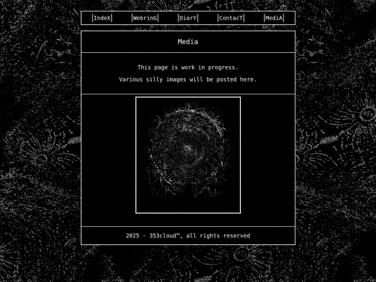 media screenshot