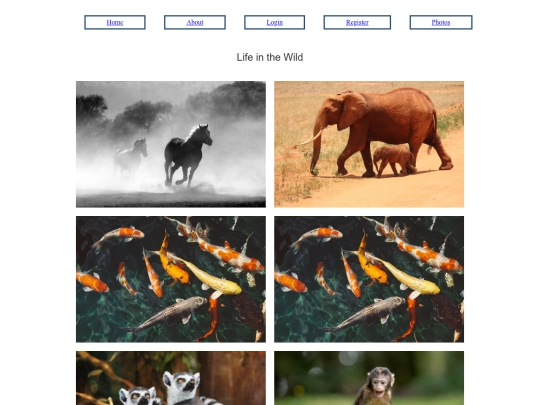 photos screenshot