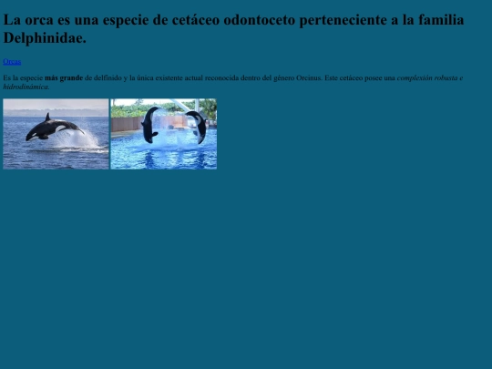 practica1 screenshot