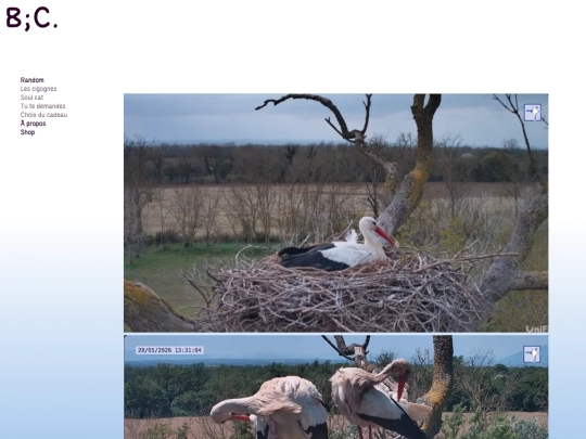 blog/cigognes screenshot