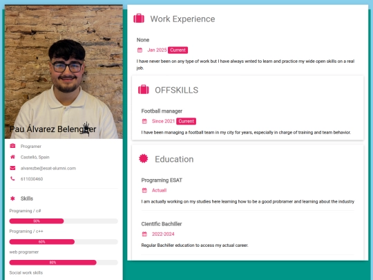 CV/CurriculumVitae screenshot