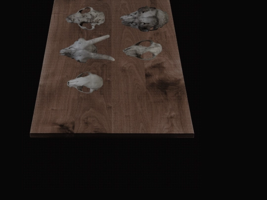 bonecollection/skullsnjaws screenshot