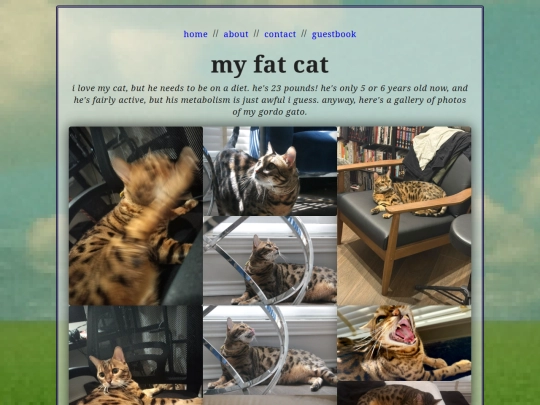 cat screenshot