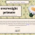 overweightprimate.neocities.org avatar