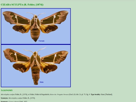 china/c_scu screenshot