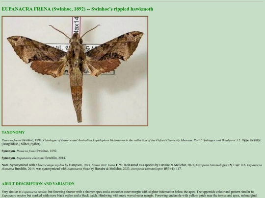 china/e_fre screenshot
