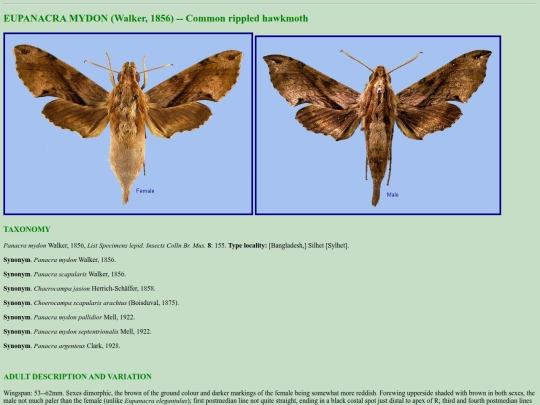 china/e_myd screenshot