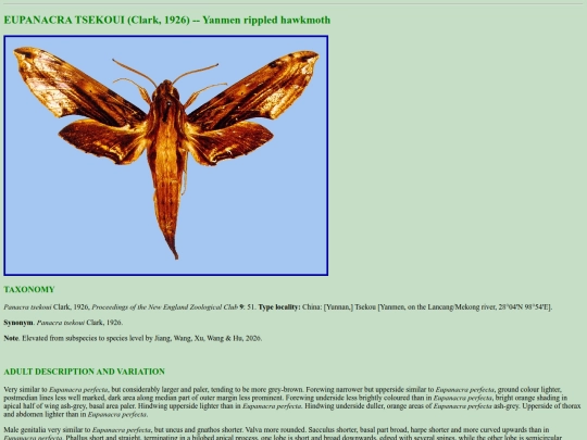china/e_tse screenshot