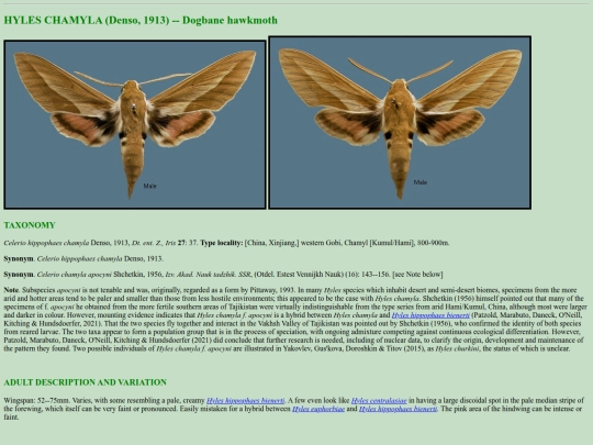 china/h_cha screenshot