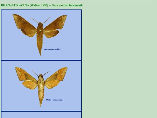 china/r_acu screenshot