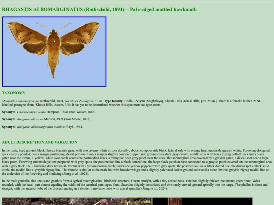 china/r_alb screenshot