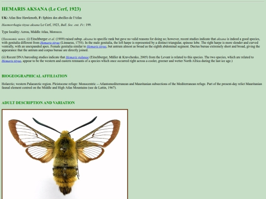 sphinx/h_aks screenshot