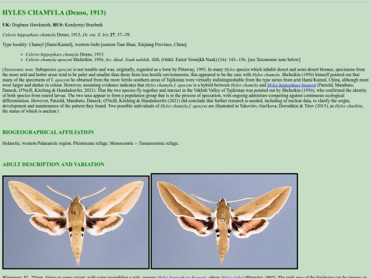 sphinx/h_cha screenshot