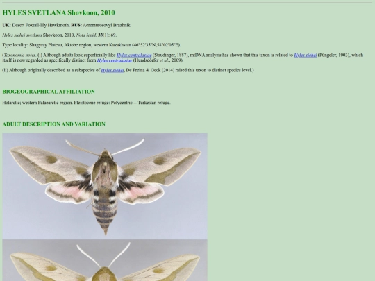 sphinx/h_sve screenshot