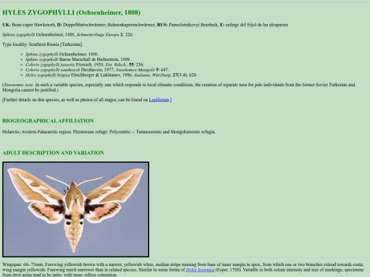 sphinx/h_zyg screenshot