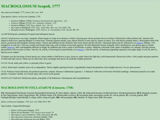 sphinx/m_ste screenshot
