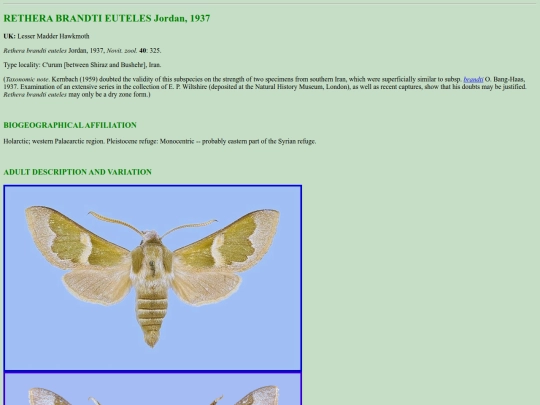sphinx/r_eut screenshot