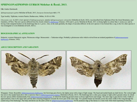 sphinx/s_gur screenshot