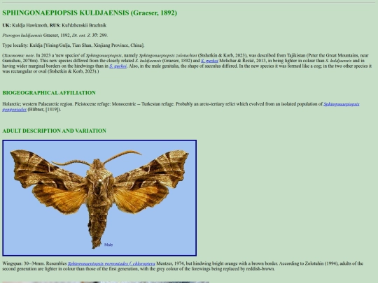 sphinx/s_kul screenshot
