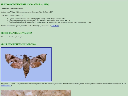 sphinx/s_nan screenshot
