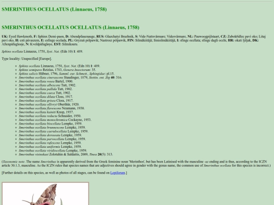 sphinx/s_oce screenshot