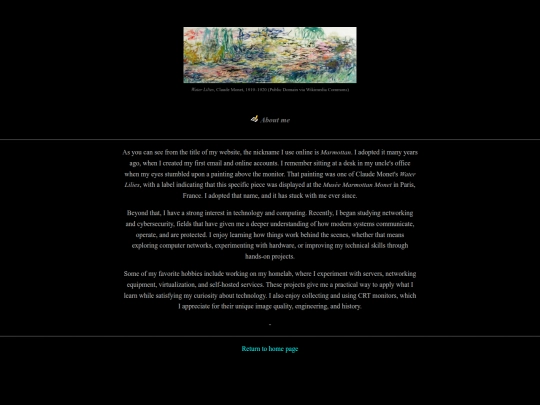 aboutme screenshot