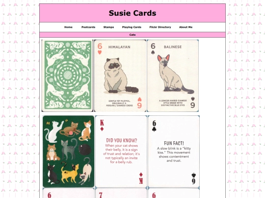 playingcards/cats screenshot