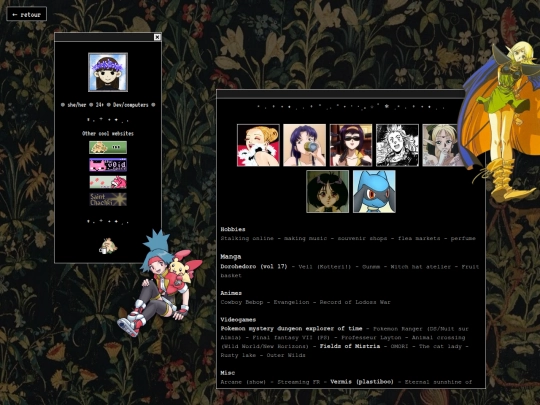 about screenshot