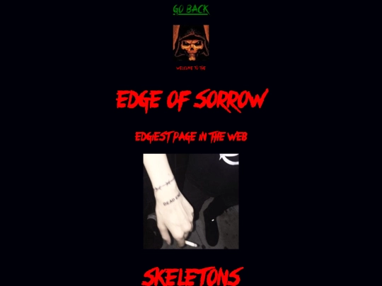 edge screenshot