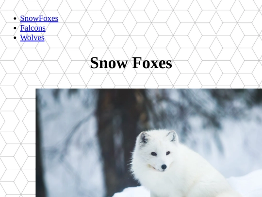 SnowFoxes screenshot