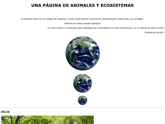 Ejercicio05.html/ejercicio05 screenshot