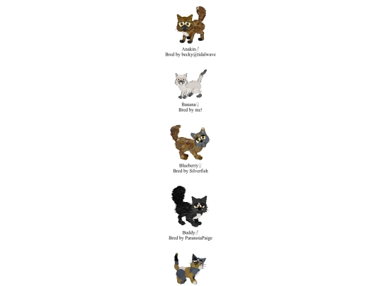 catz screenshot