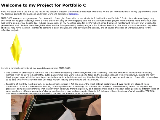 portfolio-c screenshot