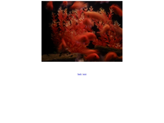 Cluster screenshot