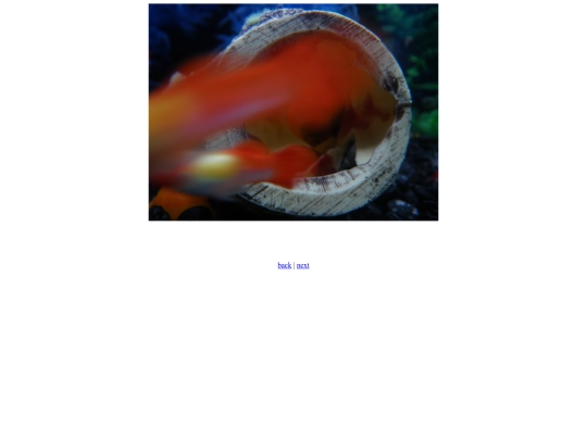 FishTail screenshot