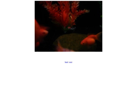 Four screenshot