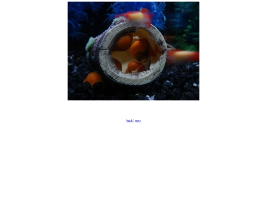 SnailTunnel screenshot
