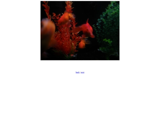 Swimmy screenshot