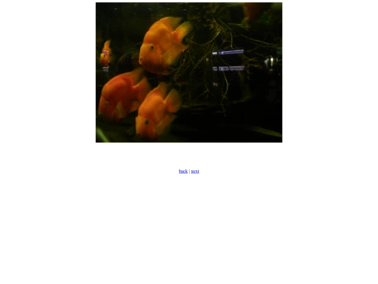 Three screenshot