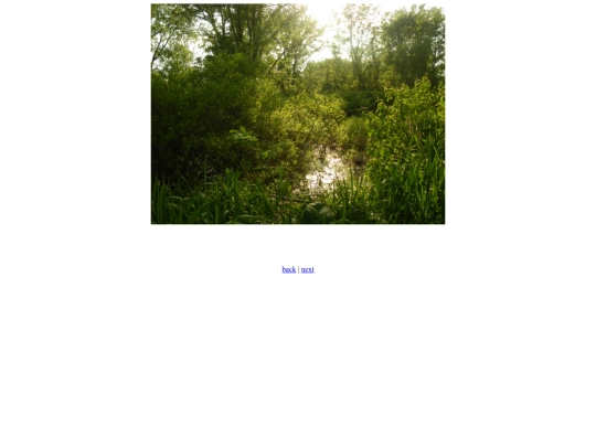 fairy screenshot