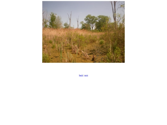 marsh screenshot