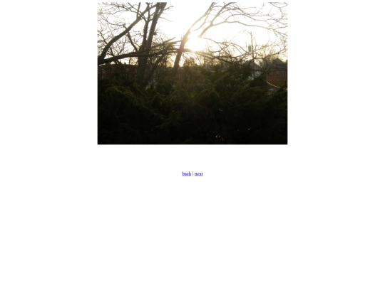 view screenshot