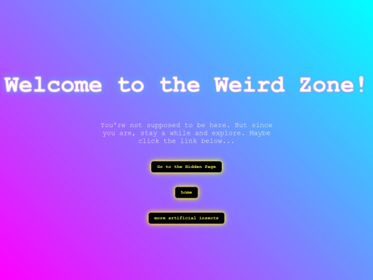 chat5 screenshot