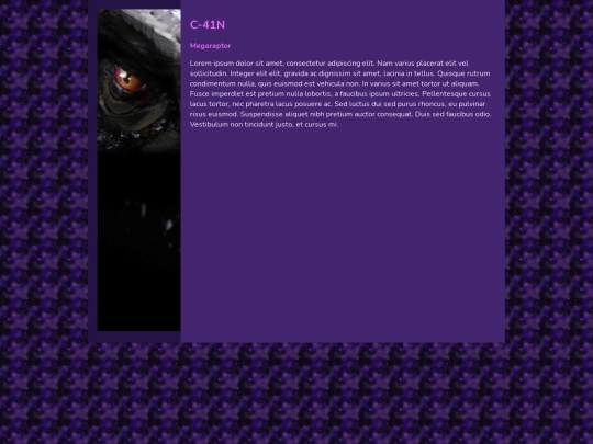 c41npage screenshot
