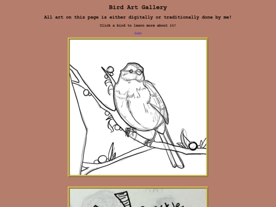 birds screenshot