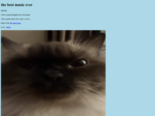 music screenshot